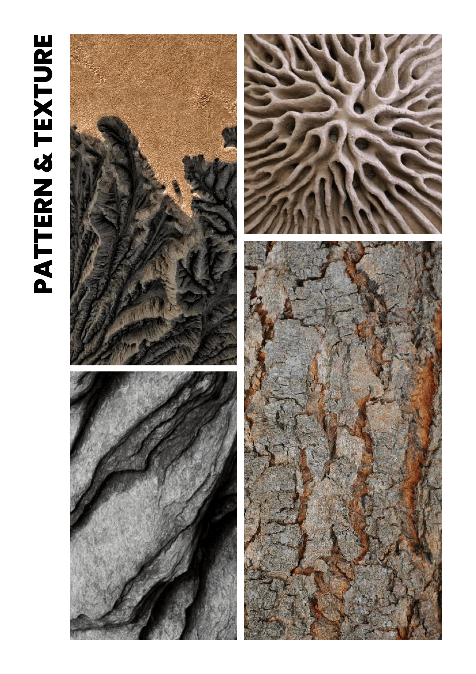 Catalogue Image 2